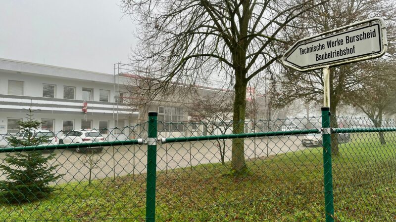 Baumfällung: Stadt Burscheid entfernt zwei Erlen in Hilgen