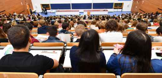 Studieren im Ausland: DAAD stellt 13 Programme ein – 2500 Stipendien sollen wegfallen