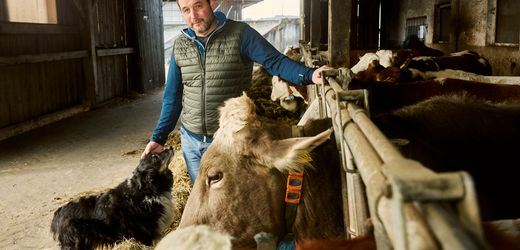 Landwirtschaft: Warum Biolandwirte fehlen und was das für Verbraucher bedeutet