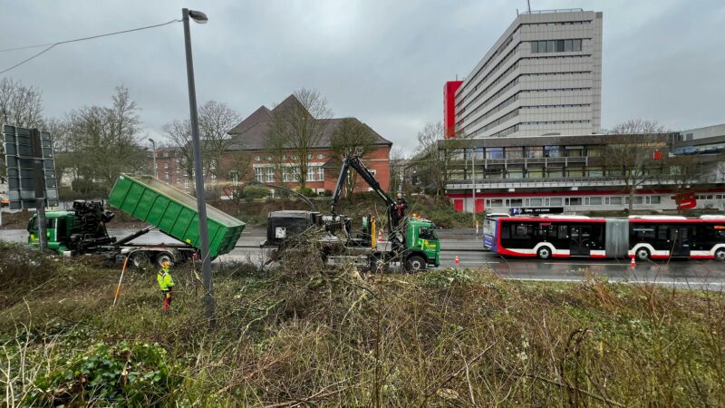 Postgelände: Der Bau der Zufahrt beginnt mit Rodungen an der B8 in Leverkusen