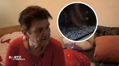 Drama bei „Hartz und herzlich”! Fisch von Rentnerin Regina (71) stirbt beim Umzug