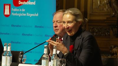 Hamburger Bürgerschaftswahl 2025: Kleine Parteien − Sind sie die Alternativen für Hamburg?