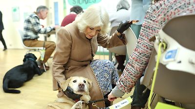 Neuer Hund für Queen Camilla – jetzt zieht Moley ein