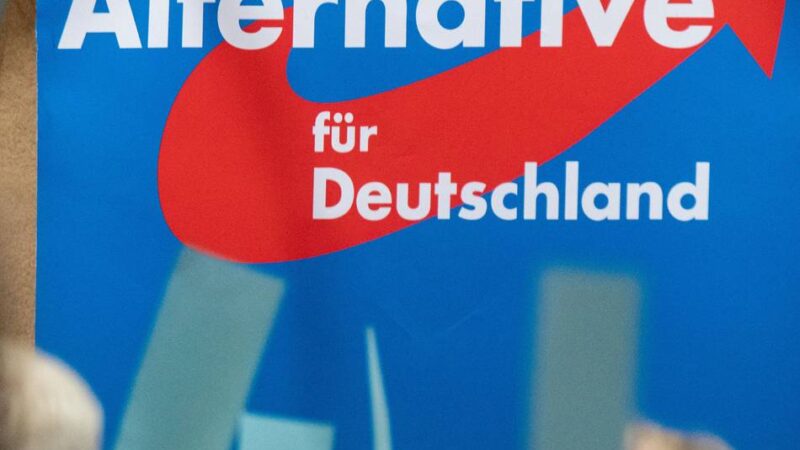 Bundestagswahl 2025 in Leverkusen: AfD-Hochburgen in Quettingen und Rheindorf