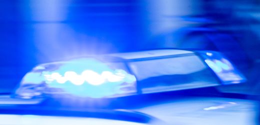 Bad Kreuznach: Sexspielzeug löst Polizeieinsatz aus