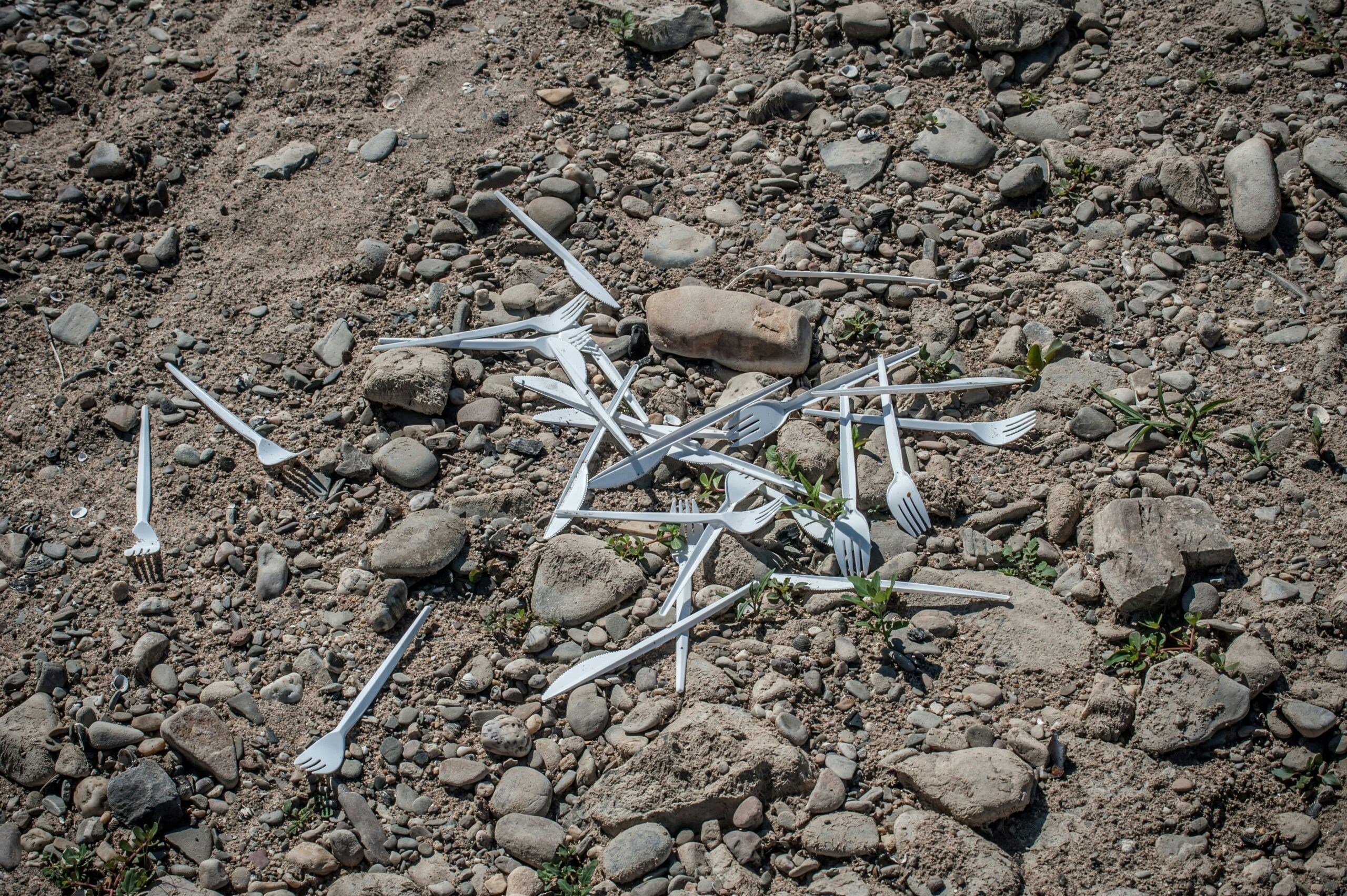 Plastikmüll: Leverkusen beantragt Geld aus Fonds für Kunststoffabfälle