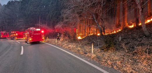 Japan: Tausende Menschen sollen Waldbrandgebiet verlassen