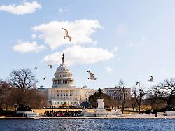 „Politischer Hinterhalt“: Streit zwischen Selenskyj und Trump beschäftigt US-Senatoren