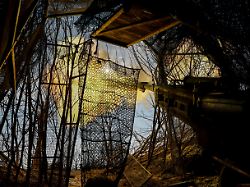 Russland: Attacke abgewehrt: Ukrainische Armee stößt offenbar ins russische Belgorod vor