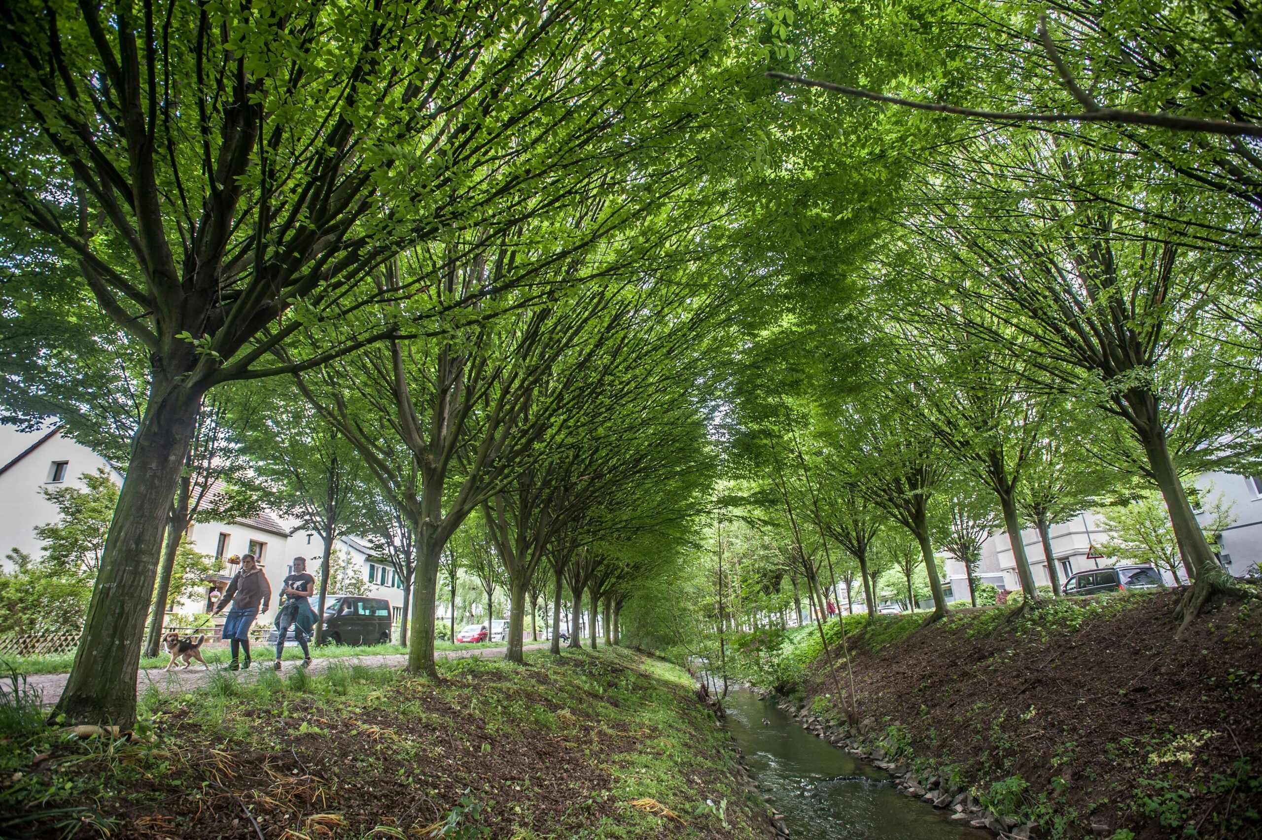 Leserbriefe: Was Leverkusener von der Diskussion über die Wiembachallee halten