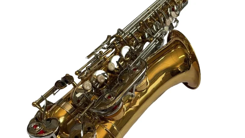 Altsaxophon, Saxophon, glänzendes Messing, graviert, Eb E-Flat, natürliche weiße Schale, Knopf, Blasinstrument mit Koffer, Stummschaltung, Handschuhe, Zubehör