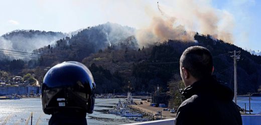 Japan: Größter Waldbrand seit mehr als drei Jahrzehnten in Präfektur Iwate