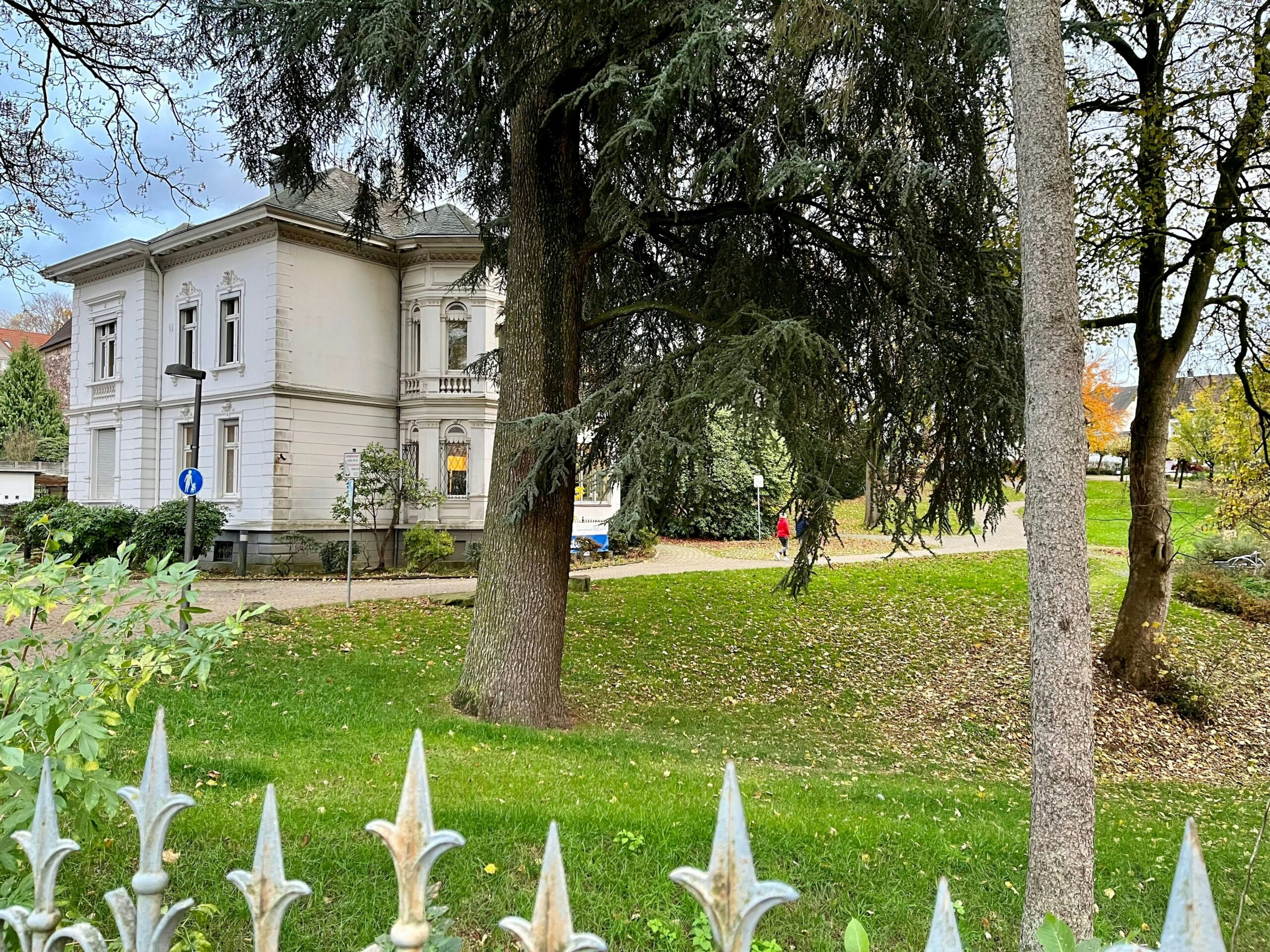 Innenstadt: Burscheids Naturschützer sorgen sich um Luchtenberg-Richartz-Park