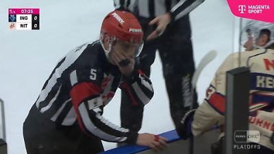 DEL-Playoffs 2025: Schiedsrichter André Schrader bekommt Puck ins Gesicht – und verliert zwei Zähne