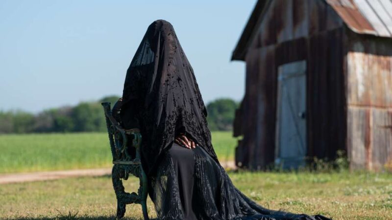 The Woman in the Yard (2025)