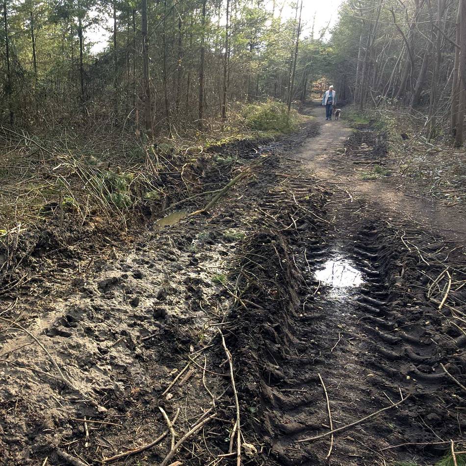 Stadt Leverkusen will Austausch mit Waldeigentümern verbessern: Laichzeit im Bürgerbusch