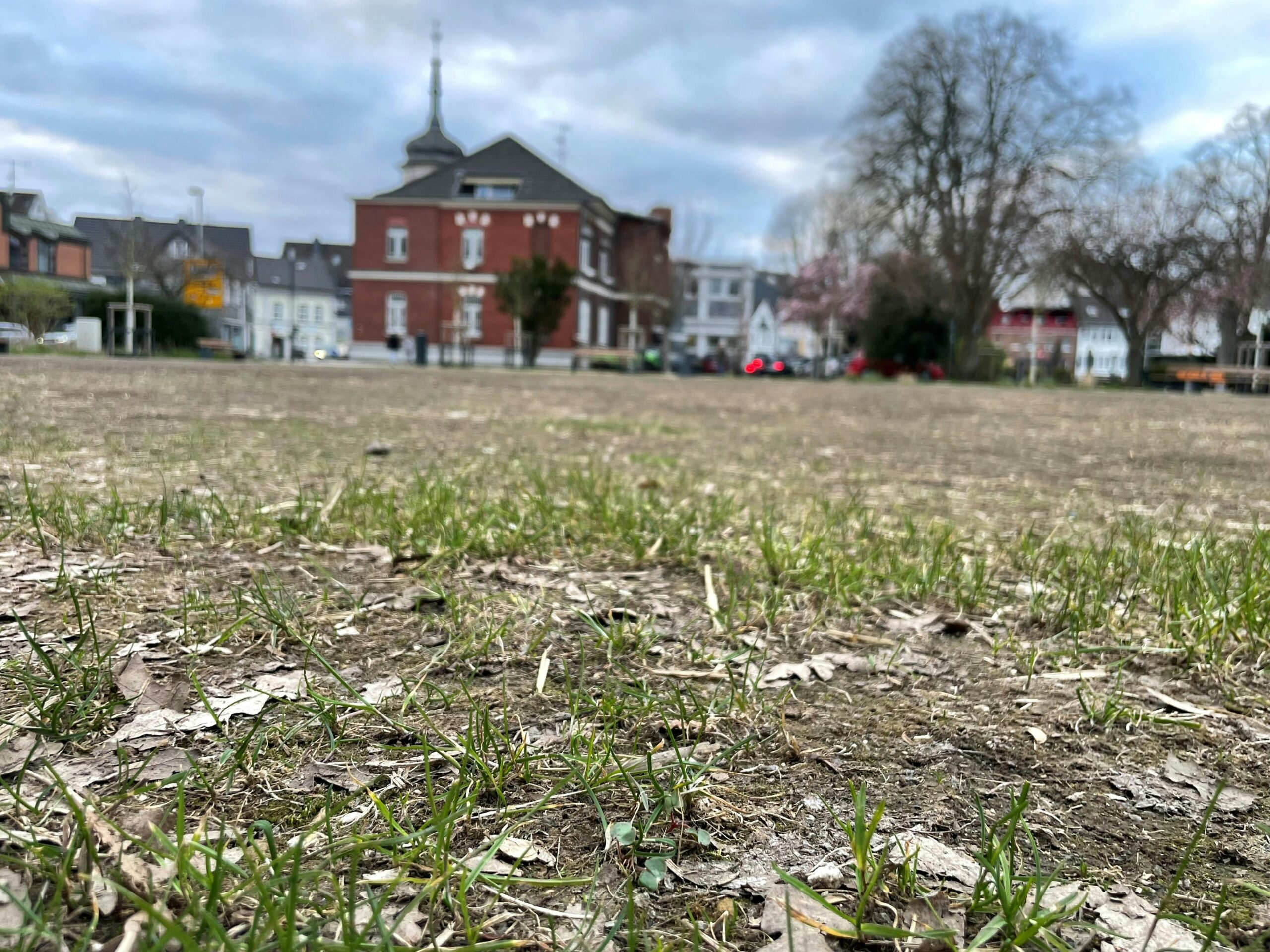 Alter Stadtpark: Grüne Leichlingen fordern umfassende Informationen zu Veranstaltungsfläche