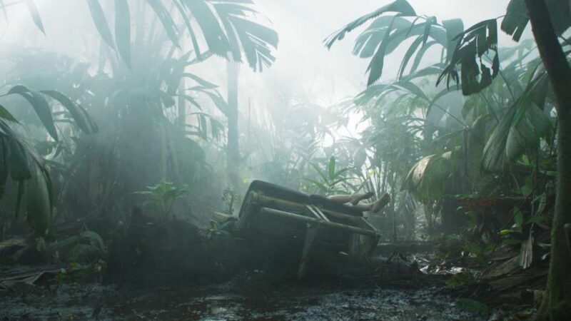 Transamazonia (2024)