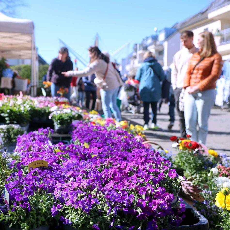„Blühendes Schlebusch“: Blumenmeer und offene Geschäfte