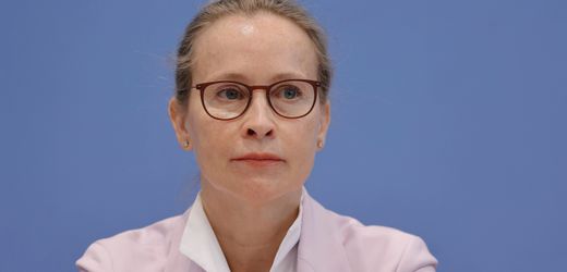 Frauke Brosius-Gersdorf: Universität Hamburg prüft Hinweise zu Dissertation