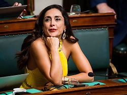 Kritikerin des Mullah-Regimes: Belgische Politikerin: Iran plant meine Entführung