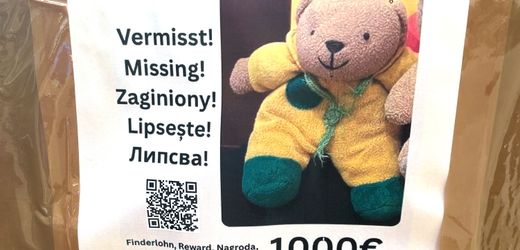 Vermisster Teddybär in Berlin: »Es fühlt sich an, als habe man mein Kind entführt«