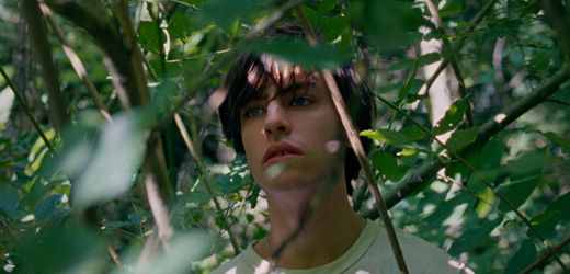 »Der Fleck«: Die Magie eines Sommertags im Debüt von Willy Hans