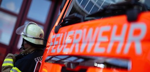 Dogern in Baden-Württemberg: Drei Menschen durch Ameisensäure verletzt