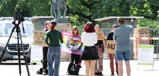 Nürnberg: Tiergarten tötet zwölf gesunde Paviane