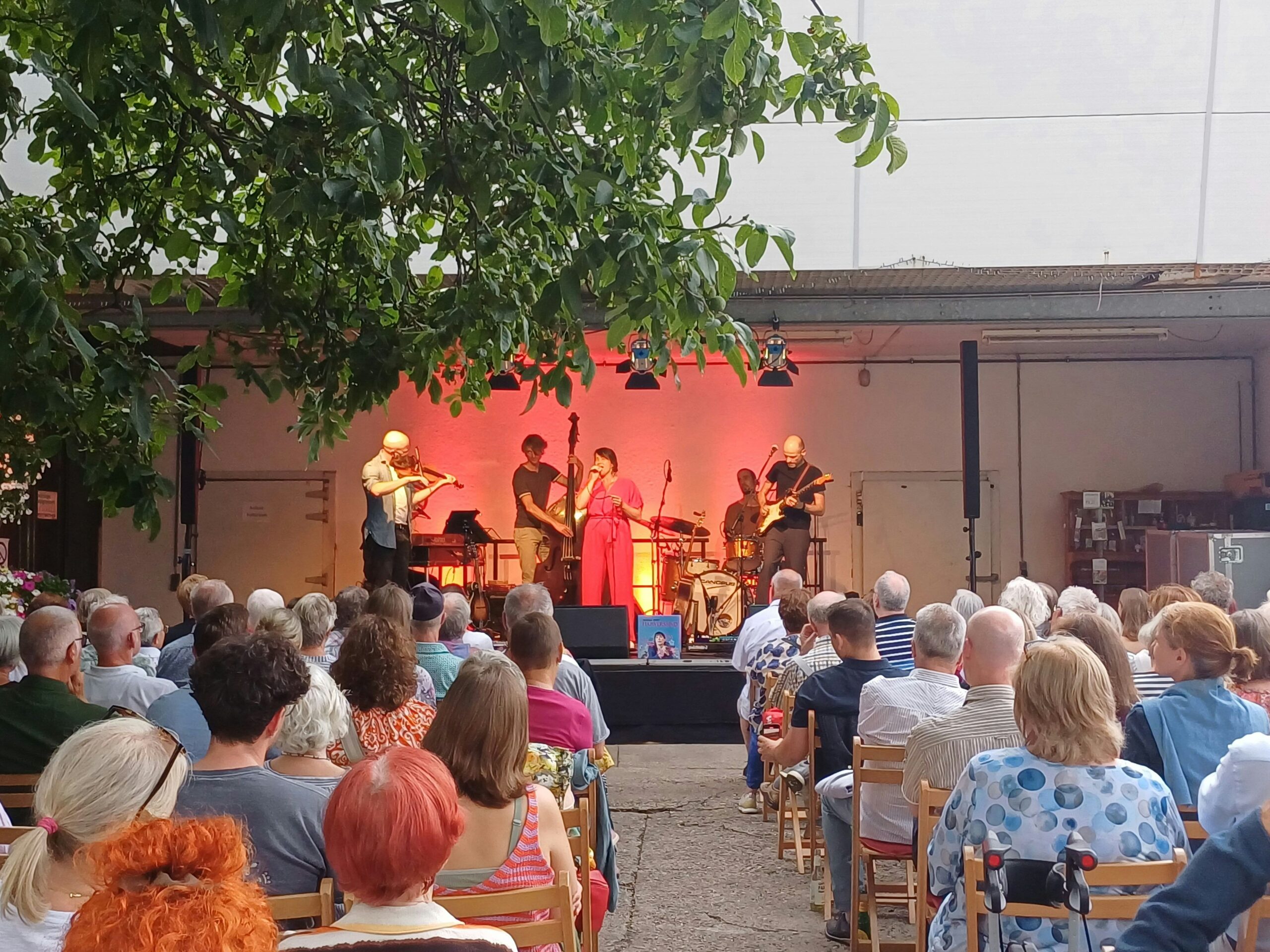 „Kultur auf dem Hof“: Musik- und Pilzkultur auf einem Leichlinger Hof vereint