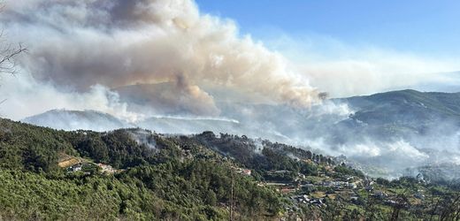 Portugal: Waldbrände wüten im Zentrum und im Norden Portugals