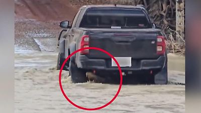 Australien: Geländewagen überrollt Krokodil an gefährlicher Kreuzung