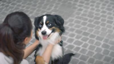 „Unter uns”-Vorschau heute auf RTL+: Hund Bandit kommt wieder zurück