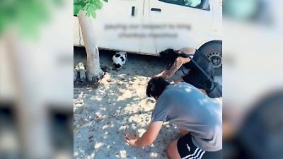 Neuer Touri-Hotspot auf Kreta! Wegen Kater Chonkus Maximus strömen Touristen aus aller Welt nach Griechenland