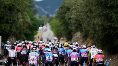 Tour de France 2025: Rinderseuche ausgebrochen – 19. Etappe verkürzt!