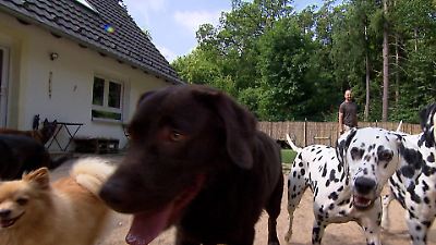 Urlaub für Fellnasen in Troisdorf