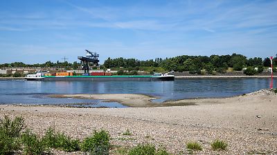 Duisburg: Abgetrenntes Bein liegt am Rheinufer – Paar macht ungewöhnliche Entdeckung