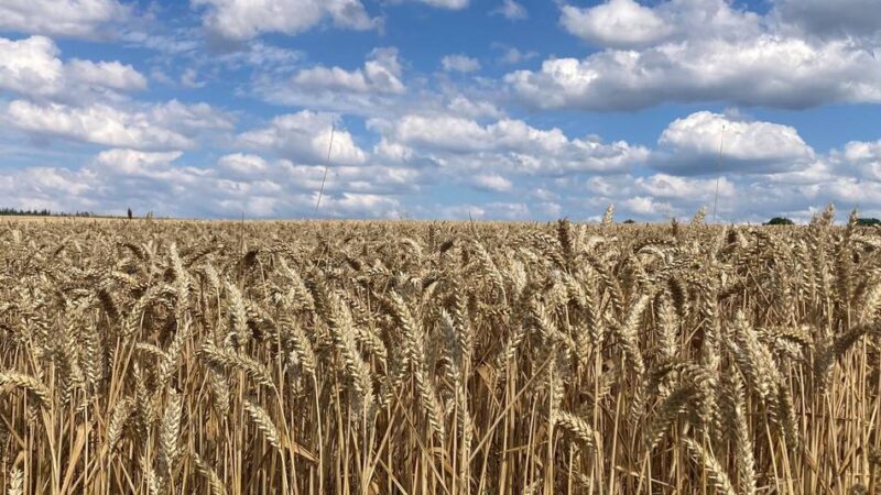 Düngeverordnung in roten Gebieten: Leverkusener Landwirte kämpfen mit Bürokratie