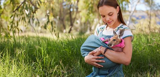 DEIN SPIEGEL lädt ins Kino ein: »Lilly und die Kängurus«