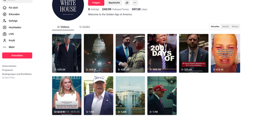Trump-Regierung bei TikTok: Die zynische Meme-Strategie des Weißen Hauses