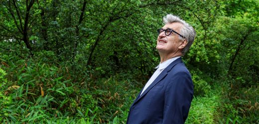 Wim Wenders: Starregisseur wird 80