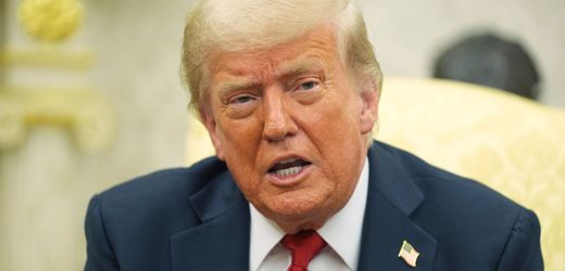 Donald Trump: Weißes Haus richtet offiziellen TikTok-Account ein