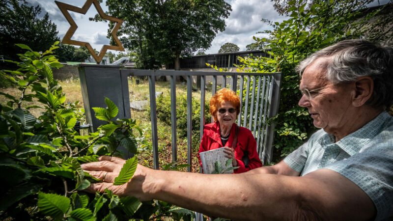 Jüdischer Friedhof: Das Leverkusener Kleinod droht zu verwahrlosen