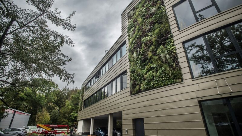 Statt Grünsatzung: Stadt Leverkusen gibt Handlungsempfehlung für Bürger