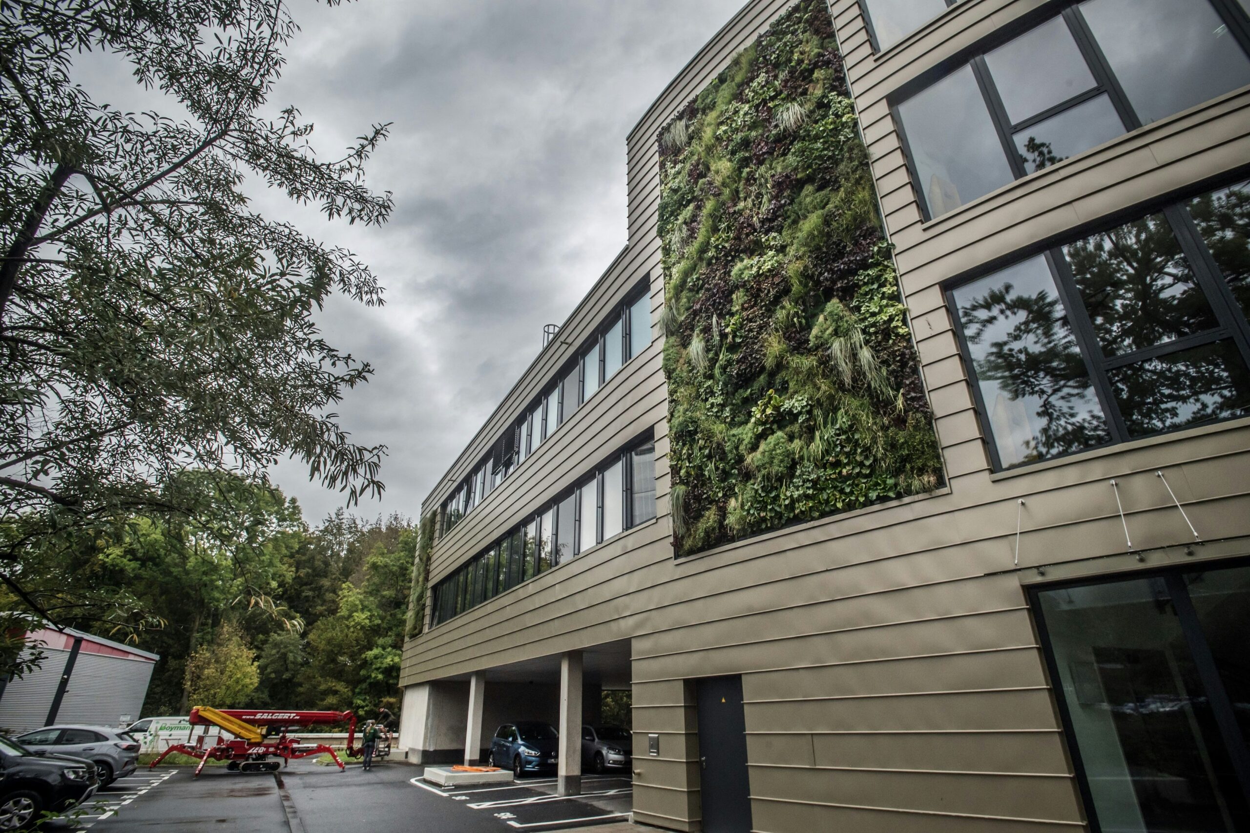 Statt Grünsatzung: Stadt Leverkusen gibt Handlungsempfehlung für Bürger