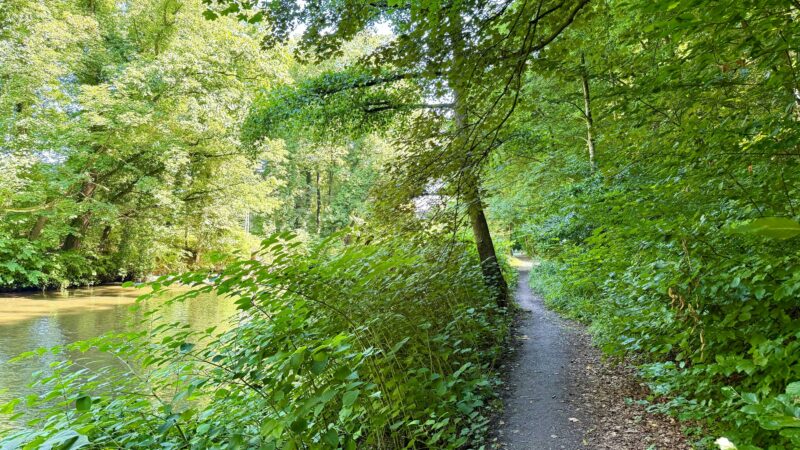 Urteil: 10.000 Euro, weil ein Hund eine Frau in Leverkusen umrannte