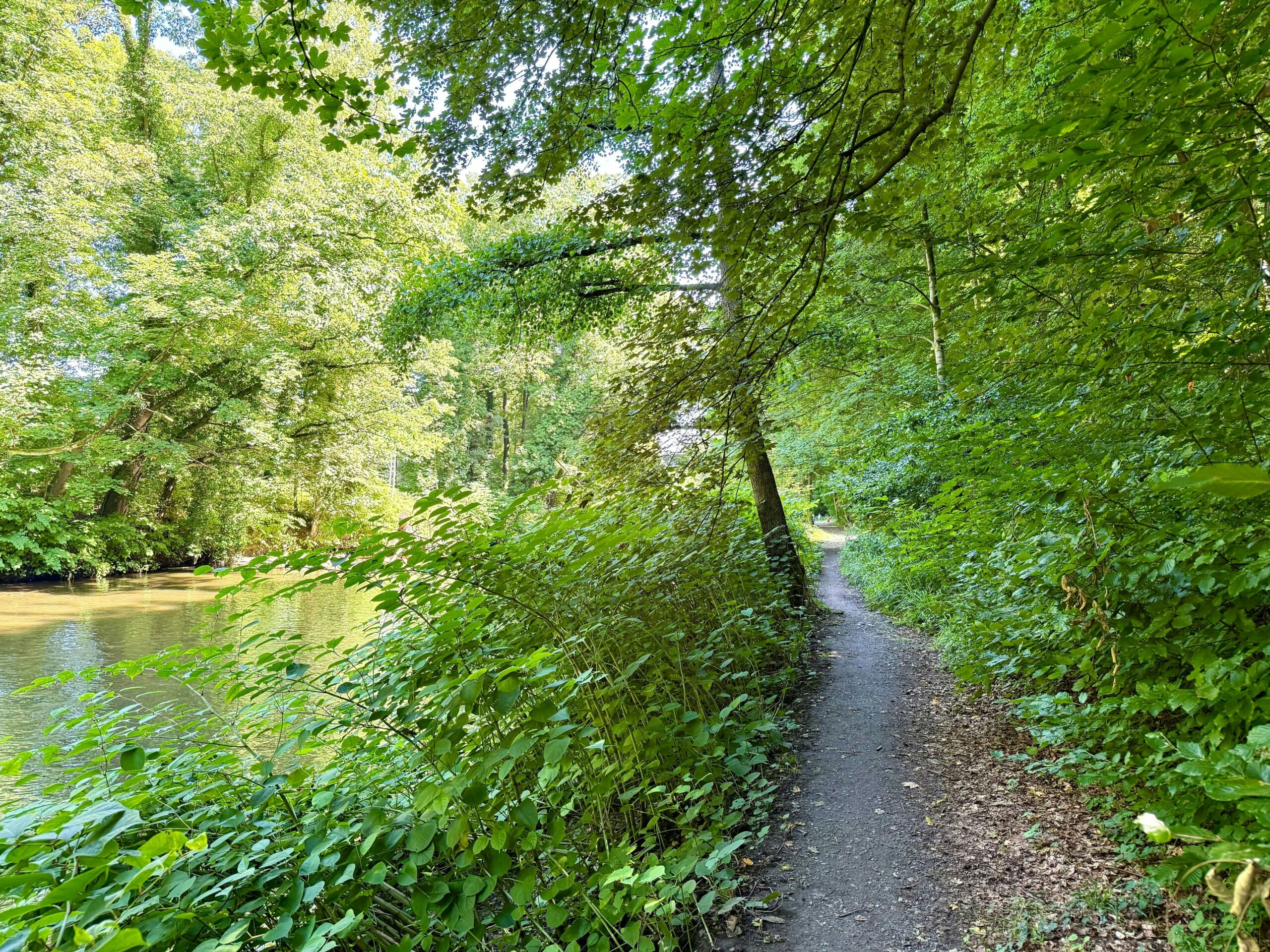 Urteil: 10.000 Euro, weil ein Hund eine Frau in Leverkusen umrannte