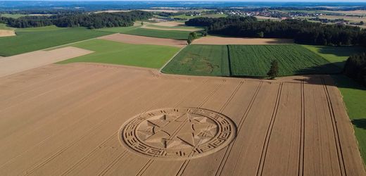 Kornkreis in Bayern: »Sie rieten mir, mich auf mein Feld zu stellen und die Energie zu spüren«