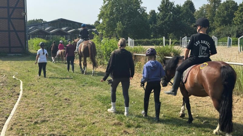 Reitsport in Leverkusen: Ponyclub vom Reitverein Leverkusen soll dem Verein langfristig helfen
