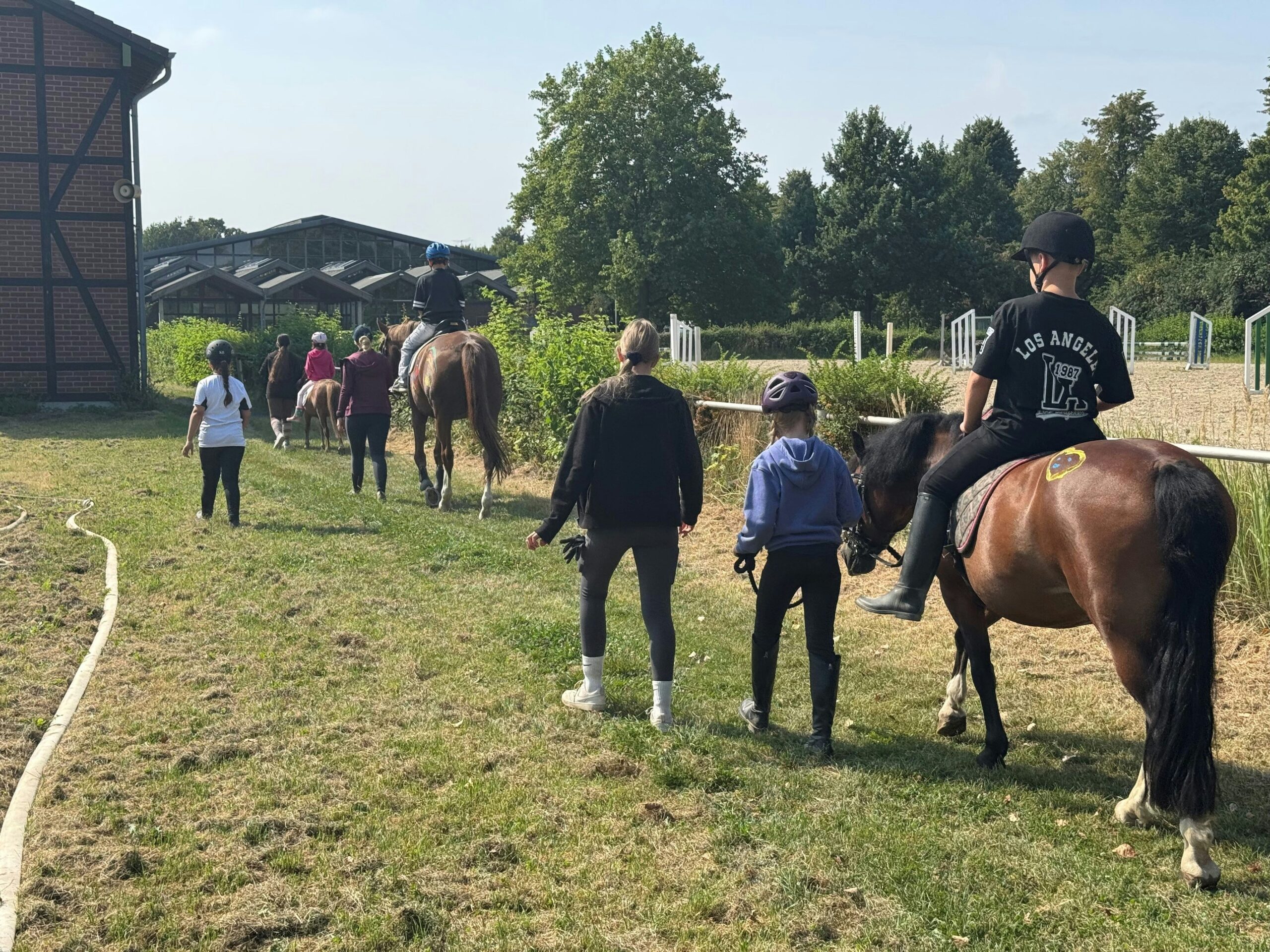 Reitsport in Leverkusen: Ponyclub vom Reitverein Leverkusen soll dem Verein langfristig helfen